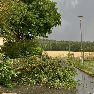 06ab743f-0678-44ec-a311-c5ba16b42453.jpg